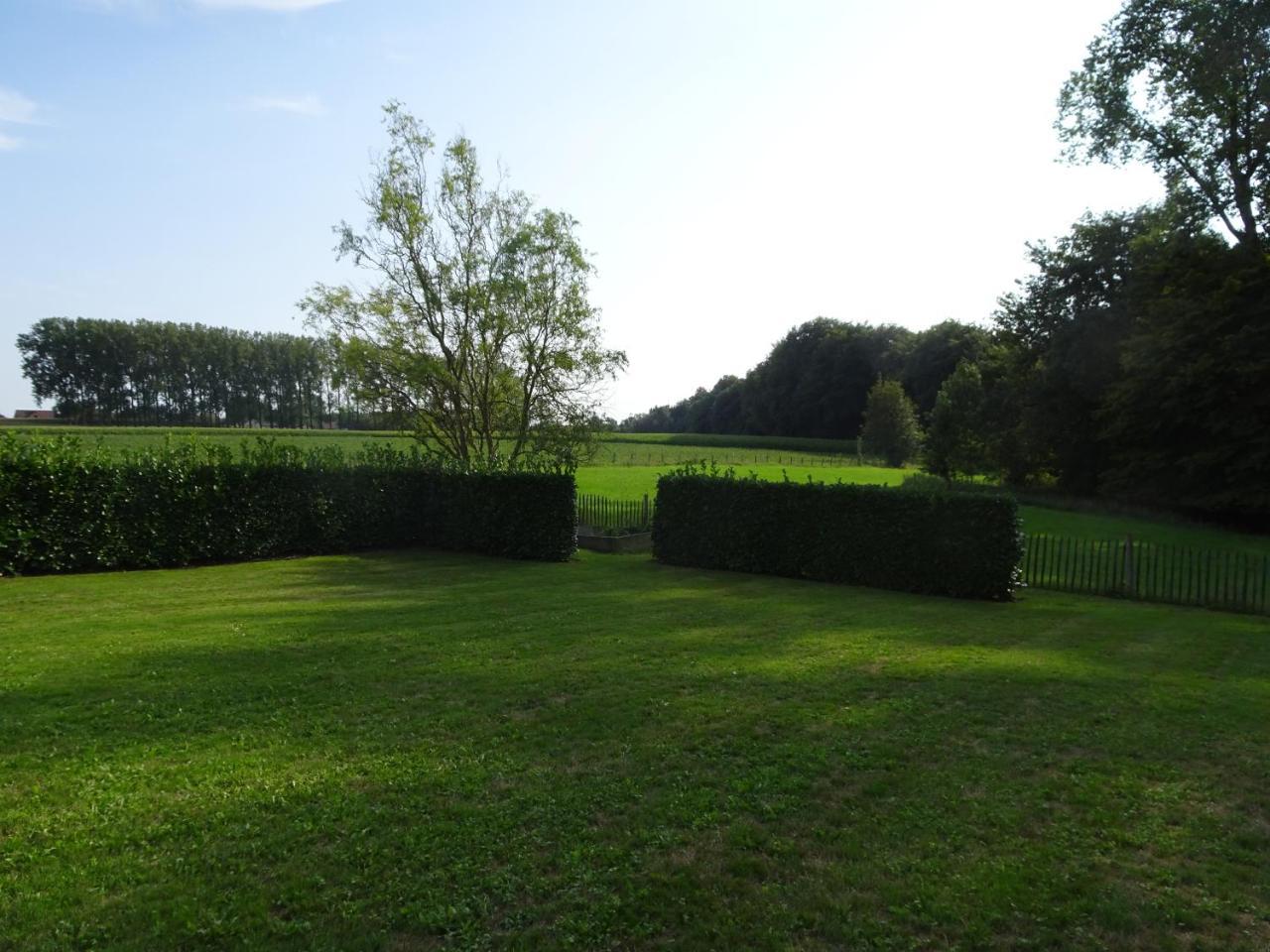Chalet Buistemberg Villa Brakel Eksteriør billede